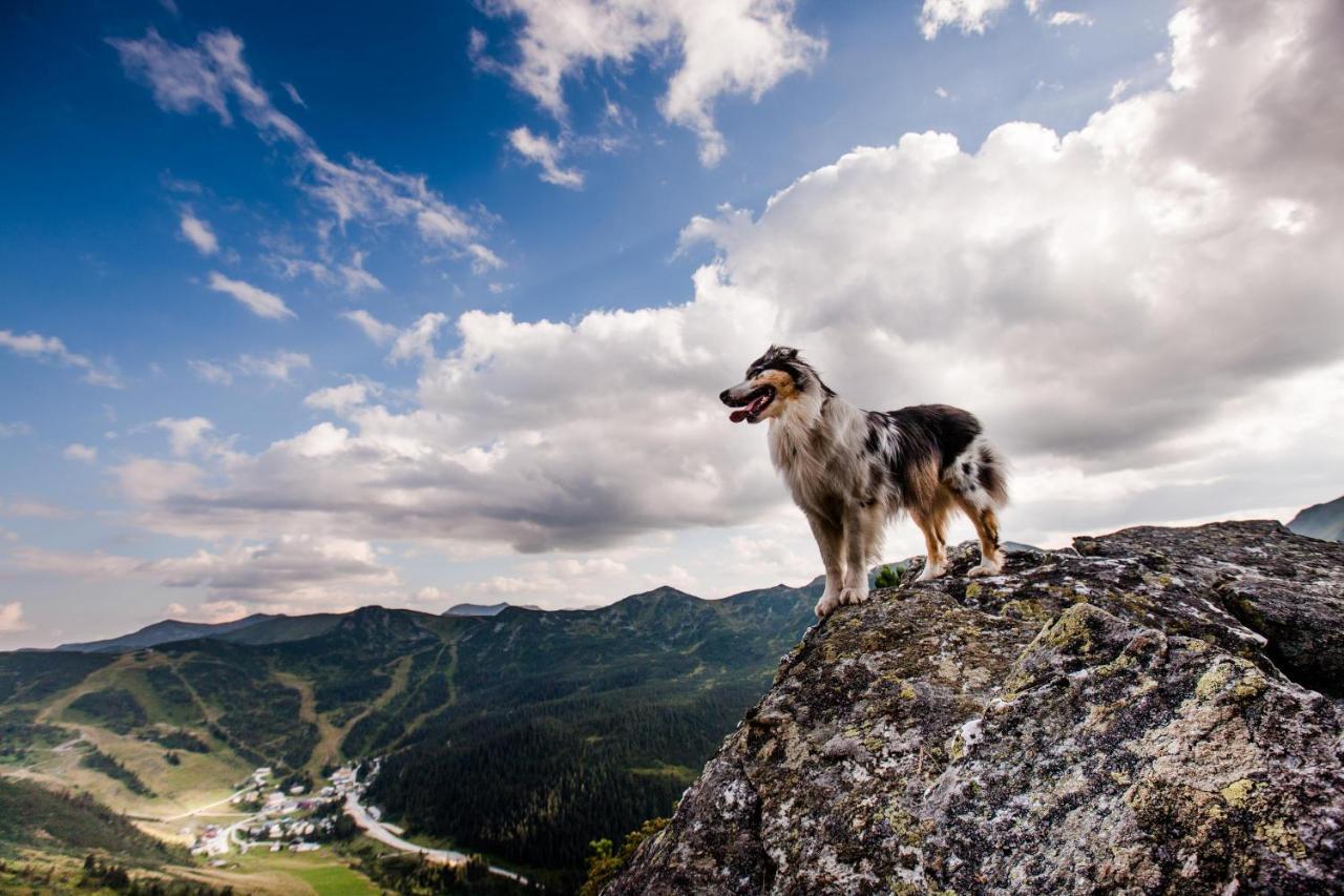 Holzboxen Planneralm Apartment Bagian luar foto